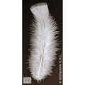Sachet De 50 Plumes Blanches