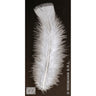 Sachet De 50 Plumes Blanches