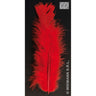Sachet De 50 Plumes Rouges