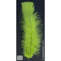 Tasche Mit 50 Federn Green