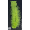 Sachet De 50 Plumes Vertes