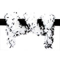 Boa De Luxe 180 Cm Blanc Et Noir