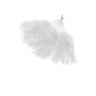 Éventail Élégant En Plumes Blanches