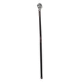Magische Wandelstok Met Klauw