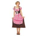 Stube Dirndl Suedine Vrouw Kostuum