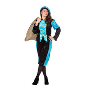 Op deze afbeelding zie je een Kostuums, van het merk Wilbers. Aqua Piet Pansamt Budget Kostuum