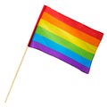 Wave Your Flag Regenboog Vlag