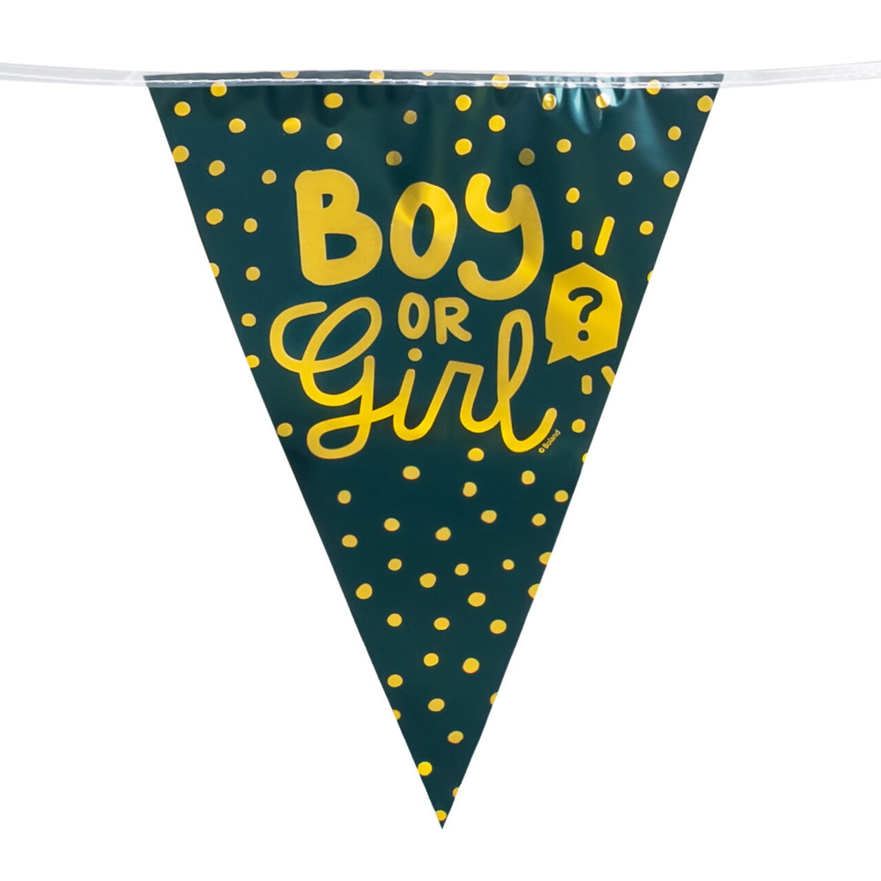 Op deze afbeelding zie je een Decoratie, van het merk Boland. Vlaggenlijn Boy Or Girl Gender Reveal Party