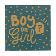 Op deze afbeelding zie je een Decoratie, van het merk Boland. Servetten Boy Or Girl Gender Party