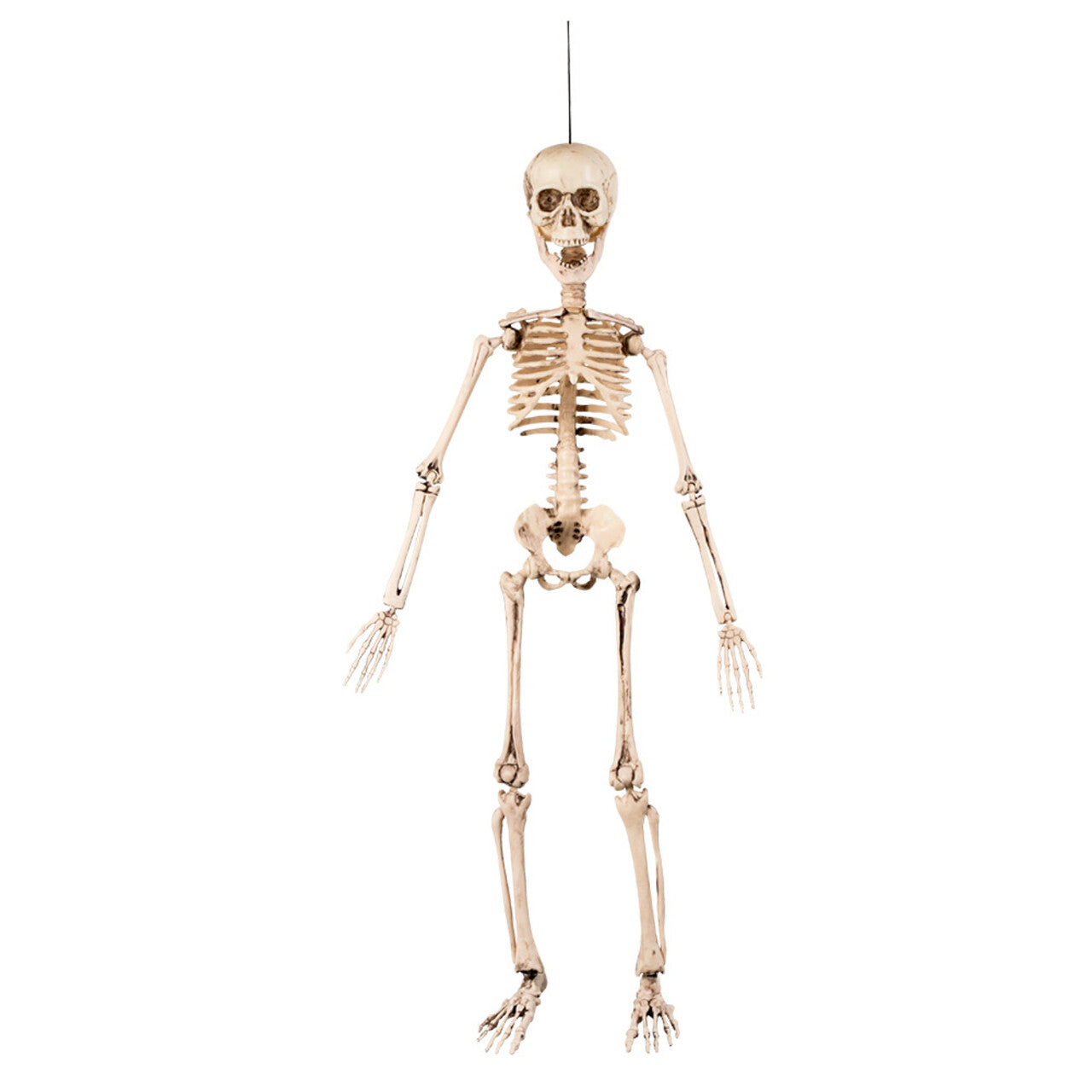 Op deze afbeelding zie je een Decoratie, van het merk Boland. Hangdecoratie Mr Skeleton