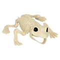 Decoratie Skelet Kikker