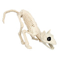 Katze Skelett