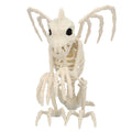 Skelett Gargoyle