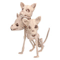 Skelett Cerberus