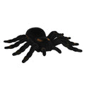 Decoratie Nachtkruiper Tarantula Spin