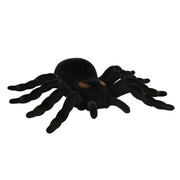 Op deze afbeelding zie je een Decoratie, van het merk Boland. Decoratie Nachtkruiper Tarantula Spin