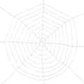 Spinngewebe Weiss