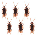 Cucarachas Chaos 6 Stuks