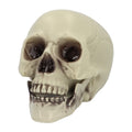 Schädel Whisperbone