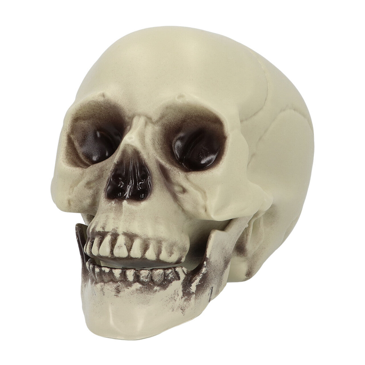 Op deze afbeelding zie je een Decoratie, van het merk Boland. Decoratie Schedel Whisperbone