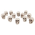 Lot De 12 Crânes