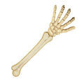 Skeletarm 46 Cm