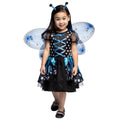Papillon Costume