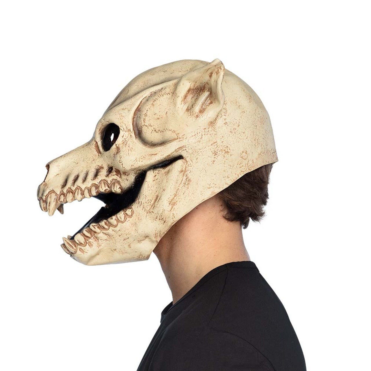 Op deze afbeelding zie je een Accessoires, van het merk Boland. De Vervloekte Hondenschedel