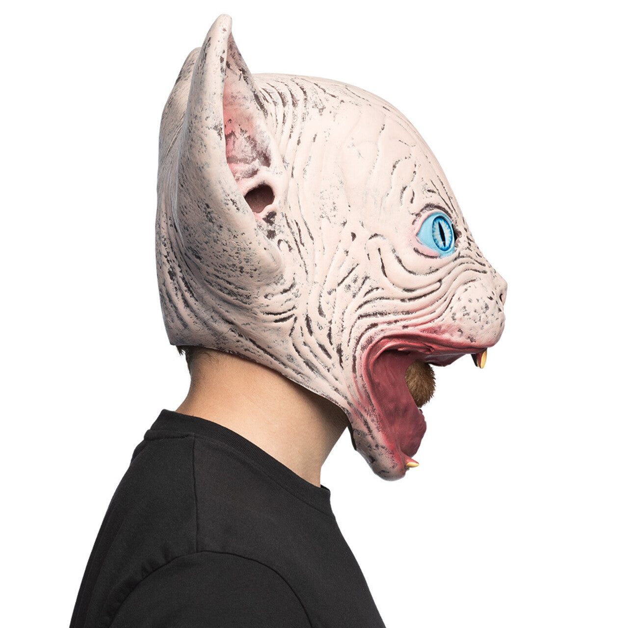 Op deze afbeelding zie je een Accessoires, van het merk Boland. Masker Horror Cat