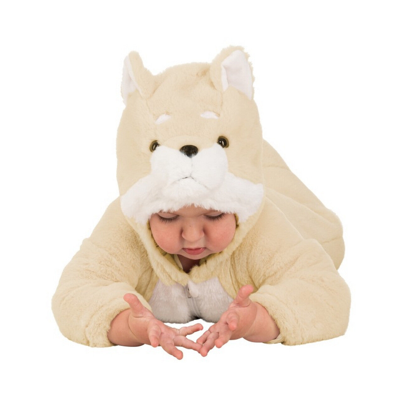 Op deze afbeelding zie je een Kostuums, van het merk Chaks. Baby Fosse Vos Kind Kostuum