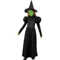 Méchant Sorcière Costume Le Magicien Doz Costume