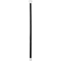 Victorian Cane