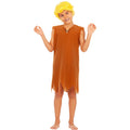 Barney Laroche Pour Enfant Costume