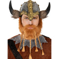 Barbe De Viking Avec Tresses