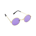 Ronde Paarse Hippie Bril Purple Proud