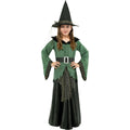 Sorcière Greenda Costume