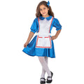 Alice Merveilleuse Costume
