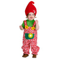 Champignon Lutin Costume