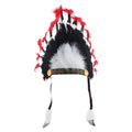 Coiffure Indienne Grand Bison