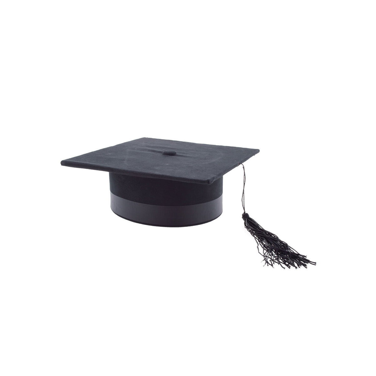 Op deze afbeelding zie je een Accessoires, van het merk Funny Fashion. Examen Promotie Studenten Hoed