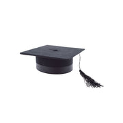 Op deze afbeelding zie je een Accessoires, van het merk Funny Fashion. Examen Promotie Studenten Hoed