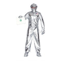 Espace Argenté Costume