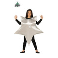 Étoile De Noël Argentée Costume