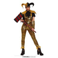 Le Joyeux Bouffon Du Château Costume
