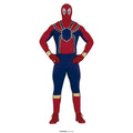 Superheld Spinman Van Het Spinnenrijk Kostuum