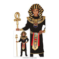 Goudrijke Egyptische Koning Fa Ro Jongen Kostuum