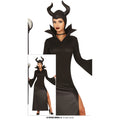 Reine Sorcière Maléfique Costume