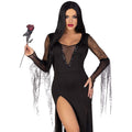 Femme Araignée Sexy Costume
