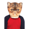 Masque De Chat Grincheux
