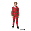 Klassieke Kleuren Kerstboom Jongen Kostuum